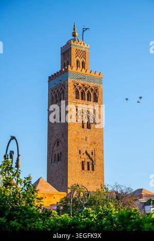 Die Kutubiyya-Moschee wurde in Marrakesch, Marokko, erbaut. Der große Turm ist ein wichtiges Wahrzeichen der Stadt. Es zeigt die Architektur der Zeit. Viele Besucher kommen täglich, um sie zu sehen. Stockfoto