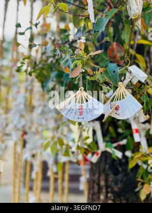 Osaka, Kansai, Japan - 2. April 2026: Detail über einzigartige Mini-Papierfächer mit Wahrsagungsvorhersagen (Omikuji), die an einen heiligen Baum in einem Na gebunden sind Stockfoto