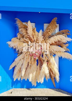 Ein großes dekoratives Blumenarrangement aus flauschigem Pampas-Gras auf einer hellblauen Wand in Curacao. Stockfoto