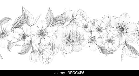 Nahtlose, florale horizontale Grenze mit detaillierter, handgezeichneter Bleistiftskizze mit Frühlingsblüten, Kirsche und Apfel, Blätter, Illustration für Hochzeit Schreibwaren und botanisches Produktverpackungsdesign. Stockfoto