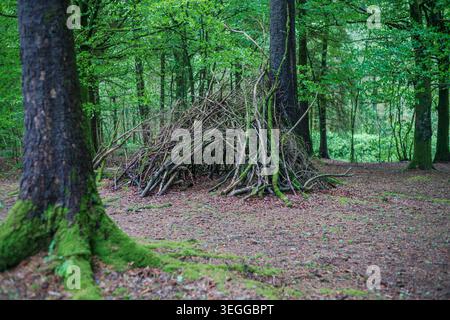 Handgefertigte Waldschulunterkunft aus Zweigen und natürlichen Waldmaterialien im Deer Park, Cornwall. Stockfoto