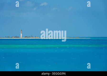 Karettfeuer im trockenen tortuga-Nationalpark Stockfoto