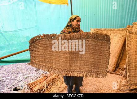 SRINAGAR, INDIEN – 19. MAI: Eine Handwerkerin zeigt am 19. Mai 2026 in Srinagar, INDIEN eine fertige traditionelle Schilfmatte, die lokal als Wagoov bekannt ist und aus getrocknetem Feuchtroh und Reisstroh gewebt wurde. Das 300 Jahre alte Handwerk, bei dem Wildsumpfschilf und Paddy-Stroh manuell miteinander verbunden werden, hat sich kürzlich aufgrund der wachsenden Nachfrage nach nachhaltigen, natürlichen Produkten bemerkenswert erholt. Wagoov-Matten dienen als natürlicher Klimaregelmechanismus für kaschmirische Häuser und bieten Wärme während der harten Winter-Chillai-Kalan-Periode und einen kühlenden Effekt während der Sommermonate. (Foto: Waseem Andrabi/Hindus Stockfoto