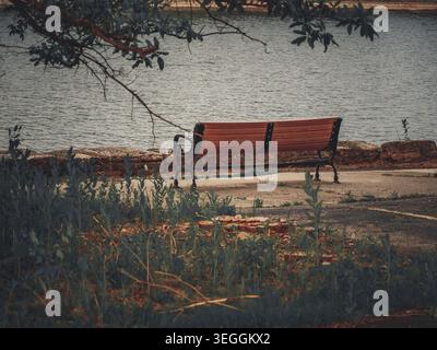 Eine leere Parkbank aus Holz befindet sich entlang eines ruhigen Küstenweges mit Blick auf das ruhige, plätschernde Wasser, das von überhängenden Ästen eingerahmt wird Stockfoto