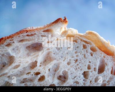 Extreme Nahaufnahme mit Fokus auf die knusprige oberste Kruste, bekannt als Ohr, eines frisch gebackenen Sauerteiglaibs. Die Makroaufnahme erfasst das komplizierte Stockfoto