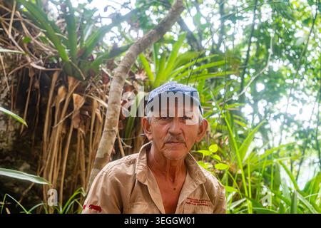 Cerro Azul, Guaviare, Kolumbien - 1. Mai 2026 - ein älterer Mann sitzt zwischen hohen grünen Pflanzen, trägt eine blaue Mütze und ein helles Hemd. Stockfoto