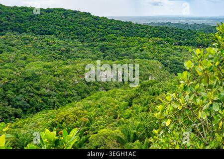Die sanften Hügel, durchzogen von Felsvorsprüngen unter einem leicht bewölkten Himmel in der Region Guaviare, bedecken lebendiges Grün. Stockfoto