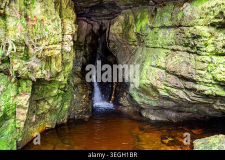 Ein kleiner Wasserfall fließt aus einer felsigen Höhle, umgeben von lebhaftem grünem Moos und dunklem Stein in Kolumbiens natürlicher Landschaft. Stockfoto