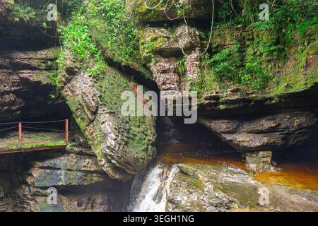 Ein kleiner Wasserfall fließt über eine moosbedeckte Felsformation, umgeben von üppigem Laub in Guaviare, Kolumbien. Stockfoto