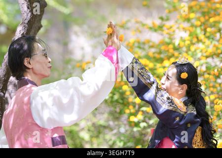 Zwei Frauen in traditioneller koreanischer Kleidung teilen einen freudigen Moment. Sie heben die Hände und greifen nach einer kleinen Orangenblüte. Sonnenlicht filtert durch gelb b Stockfoto