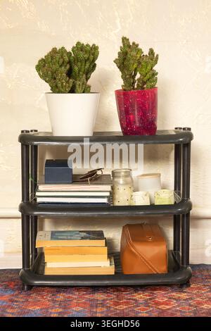 Ein dreistöckiges dunkles Regal aus Kunststoff, das mit Sukkulenten, Büchern, Kerzen und einer Kosmetiktasche aus Leder ordentlich angeordnet ist. Stockfoto