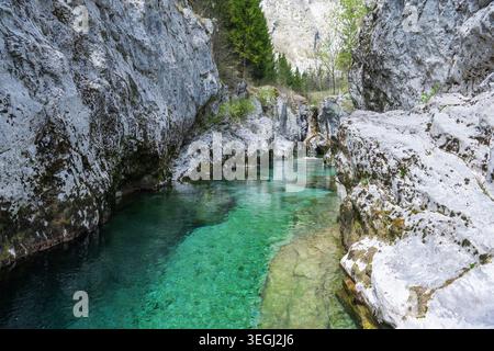 Der Fluss Soca in Slowenien fließt zwischen felsigen Klippen und grünen Bäumen. Das Wasser zeigt Blau- und Grüntöne. Sonnenlicht reflektiert von der Oberfläche. Dies ist Stockfoto