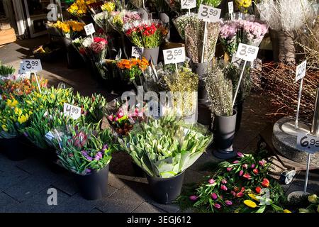 Blumenmarkt mit verschiedenen bunten Blumen Stockfoto