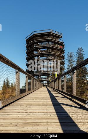 Ein niedriger Winkel, der die Holzbrücke hinunterblickt, mit Geländerschatten, die über die Holzdielen fallen. Stockfoto