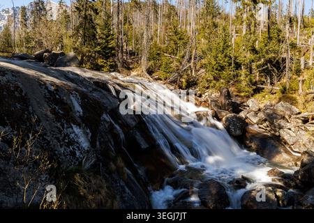 Ein Gebirgsbach kaskadiert über große Felsbrocken und erzeugt seidenglattes Wasser. Stockfoto