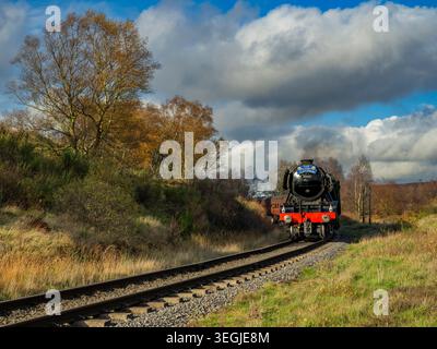 Historische ikonische Flying Scotsman Dampfeisenbahn, Rundkurve (Sonnenlicht auf A3 Klasse Lokomo, Wagen, malerische ländliche Eisenbahn) - NYMR, England, Großbritannien. Stockfoto