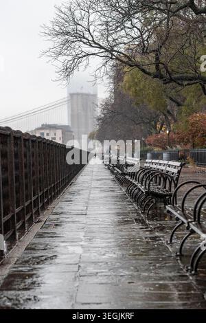 Leere, nasse Bänke am Brooklyn Bridge Park bei starkem Herbstregen und Nebel, mit dem Brooklyn Bridge Tower durch Nebel sichtbar Stockfoto