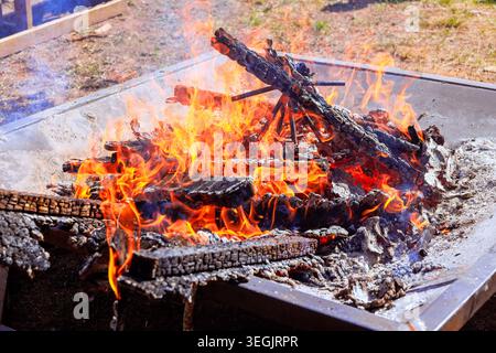 Helle Flammen erheben sich aus brennendem Holz in einer Metallfeuergrube unter der Sonne auf einem grasbewachsenen Gebiet mit Bäumen um sich herum Stockfoto