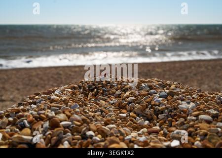 Nahaufnahme von bunten Meereskieseln am Strand. Stockfoto