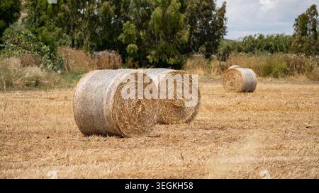 Runde Strohballen In Landwirtschaftlicher Landschaft Stockfoto