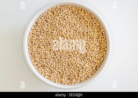 Ein großzügiger Haufen roher gespaltener und gehäuteter Urad dal, eine gesunde Hülsenfrüchte, die in der südasiatischen Küche verwendet wird. Stockfoto