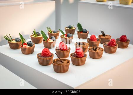 Gourmet-Mini-Schokoladentassen gefüllt mit cremigen Desserts, Himbeeren und Heidelbeeren werden bei einem formellen Catering-Buffet präsentiert. Stockfoto
