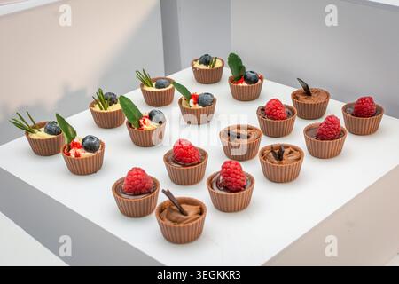 Gourmet-Mini-Schokoladentassen gefüllt mit cremigen Desserts, Himbeeren und Heidelbeeren werden bei einem formellen Catering-Buffet präsentiert. Stockfoto