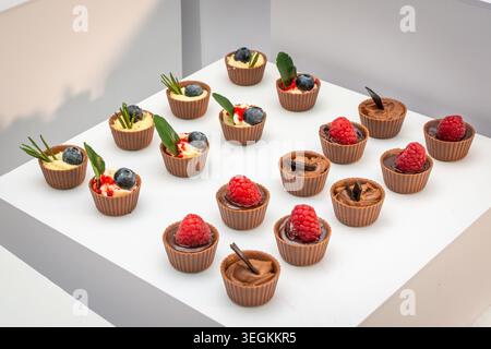 Gourmet-Mini-Schokoladentassen gefüllt mit cremigen Desserts, Himbeeren und Heidelbeeren werden bei einem formellen Catering-Buffet präsentiert. Stockfoto