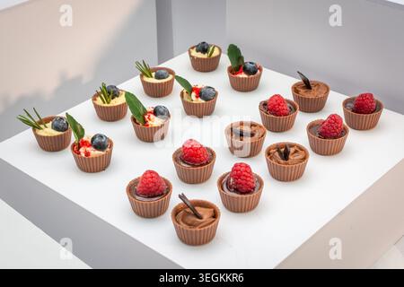 Gourmet-Mini-Schokoladentassen gefüllt mit cremigen Desserts, Himbeeren und Heidelbeeren werden bei einem formellen Catering-Buffet präsentiert. Stockfoto