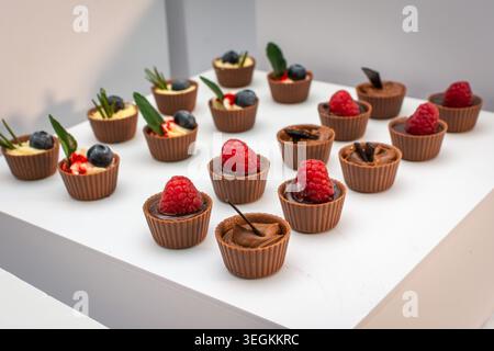 Gourmet-Mini-Schokoladentassen gefüllt mit cremigen Desserts, Himbeeren und Heidelbeeren werden bei einem formellen Catering-Buffet präsentiert. Stockfoto