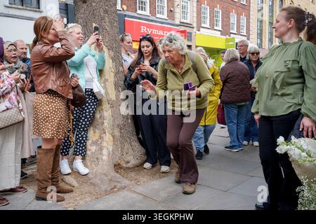 Andere Fußgänger und Käufer kommen an einer Reihe von Bewunderern einer thematischen Blumenausstellung vorbei und kaufen an der Kings Road während des zweiten Tages der Chelsea Flower Show am 20. Mai 2026 in London, England. „Chelsea in Bloom“ ist ein kostenloses Straßenfest mit frischen Blumen vor den Händlern von Chelsea und wird von Cadogan in Zusammenarbeit mit der Royal Horticultural Society (RHS) produziert, die ab dem 18-24. Mai die Straßen von Chelsea umgestaltet. Der jährliche Wettbewerb ist für 145 Unternehmen von Chelsea, die ihre Außenbereiche mit kreativen Designs bekleiden und um die begehrten Auszeichnungen konkurrieren Stockfoto