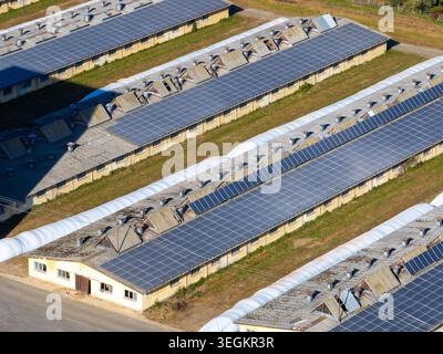 Die Drohnenansicht zeigt Solarpaneele, die während der Tageslichtstunden auf den Dächern großer Gebäude in einer Hühnerzucht installiert sind. Stockfoto