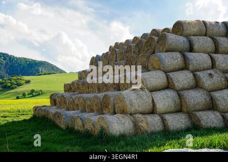 Gestapelte runde Heuballen, die auf grasbewachsenem Ackerland mit sanften Hügeln und bewölktem Himmel in ländlicher Landschaft gelagert werden. Stockfoto