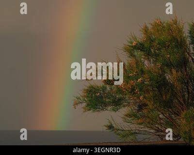 Sheerness, Kent, Großbritannien. Mai 2026. Wetter in Großbritannien: Abendlicher Regenbogen in Sheerness, Kent. Quelle: James Bell/Alamy Live News Stockfoto