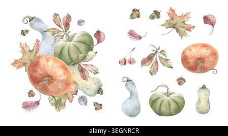 Kürbisse, Herbstblätter und Eicheln Aquarellbilder sind isoliert weiß gesetzt. Herbsternte Sammlung von Kürbis und Gemüse als Designelement Stockfoto
