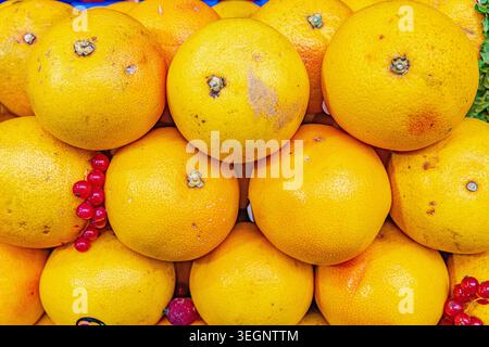 Im GastroCanarias 2026 Gastron finden Sie frisches Bio-Gemüse und Obst, darunter lokale Kartoffeln, rote Paprika, Zitrusfrüchte und Wassermelonen Stockfoto