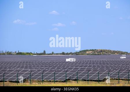 Zahlreiche Reihen von Photovoltaik-Solarpaneelen sind auf freiem Boden in einem 2-Megawatt-Solarkraftwerk installiert, um sauberen, erneuerbaren Strom zu erzeugen Stockfoto