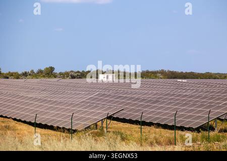 In einem leistungsstarken 2-Megawatt-Solarkraftwerk werden Reihen von Photovoltaikpaneelen in einem offenen Feld installiert, das von einem Drahtzaun mit grünen Bäumen und umgeben ist Stockfoto