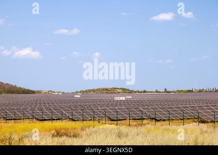 Ein leistungsstarkes 2-Megawatt-Solarkraftwerk besteht aus zahlreichen Reihen von Silizium-Photovoltaik-Panels, die auf einem Grasfeld unter blauem Himmel installiert sind Stockfoto