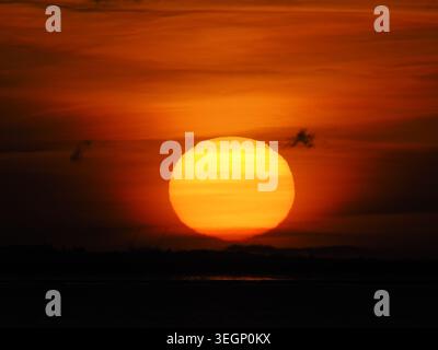 Sheerness, Kent, Großbritannien. Mai 2026. Wetter in Großbritannien: Sonnenuntergang in Sheerness, Kent. Quelle: James Bell/Alamy Live News Stockfoto