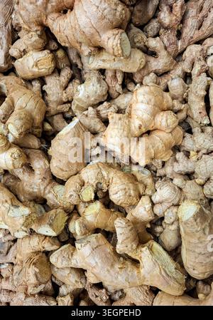 Eine Nahansicht zeigt einen Haufen roher Ingwerwurzeln, die an einem Marktstand ausgestellt werden. Diese Szene zeigt den Fokus auf gesunde Ernährung und Kochen op Stockfoto
