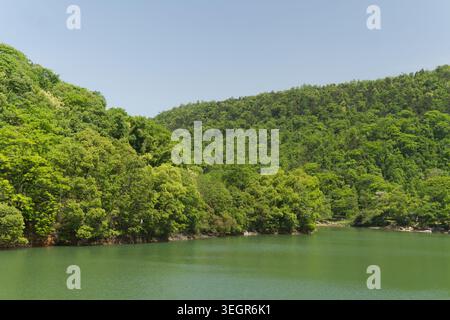 Malerischer See in bewaldeten Hügeln Stockfoto