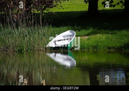 Ein einsames Ruderboot wird von hohem Schilf und üppigem grünem Gras an Land gezogen, das sich im ruhigen Wasser spiegelt Stockfoto