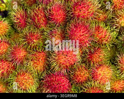 Frischer Rambutan tropische Frucht Hintergrund Vollrahmen Nahaufnahme Stockfoto