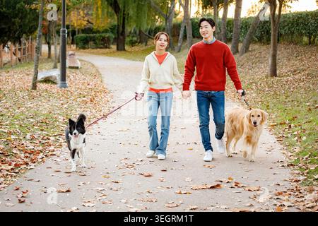 Ein junges Paar spaziert Hand in Hand mit zwei Hunden an einem sonnigen Herbsttag durch einen Park. Stockfoto