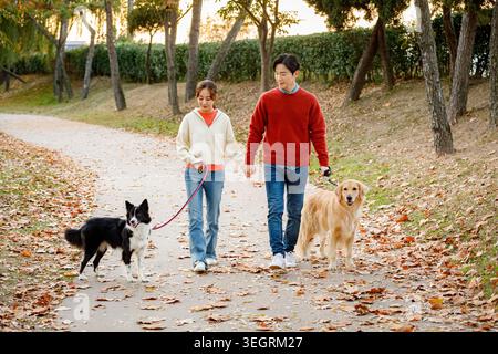 Ein junges Paar geht Hand in Hand mit ihren beiden Hunden an einem sonnigen Herbsttag durch einen Park. Stockfoto