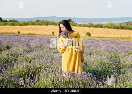 Frau in gelbem Kleid steht im Lavendelfeld und hält sanft einen Lavendelblumenstrauß. Sie wirkt ruhig und besinnlich und genießt Schönheit und Duft der Blüten um sie herum. Stockfoto