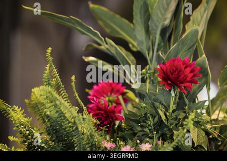 ROTE und grüne Blumen, Blumenmuster für Drucke, Postkarten oder Tapeten Stockfoto