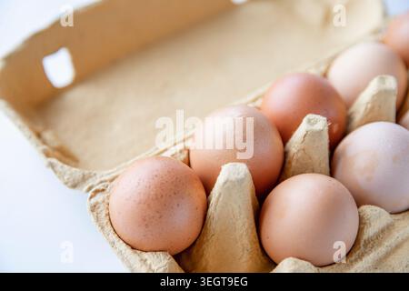 Braune Hühnereier in recyceltem Karton auf hellem Hintergrund Stockfoto