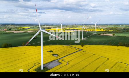 Luftaufnahme von Windturbinen, die auf leuchtenden gelben Rapsfeldern und grünen Wiesen unter bewölktem Himmel in Dollerup, Schleswig-Holstein, stehen. Stockfoto